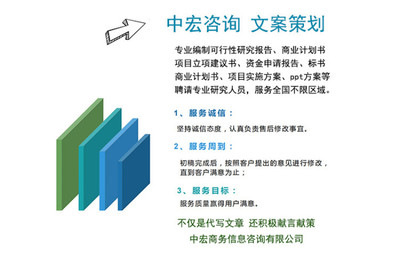 新能源項目商業(yè)計劃書代寫制作與咨詢策劃服務 打造專業(yè)藍圖，賦能綠色未來